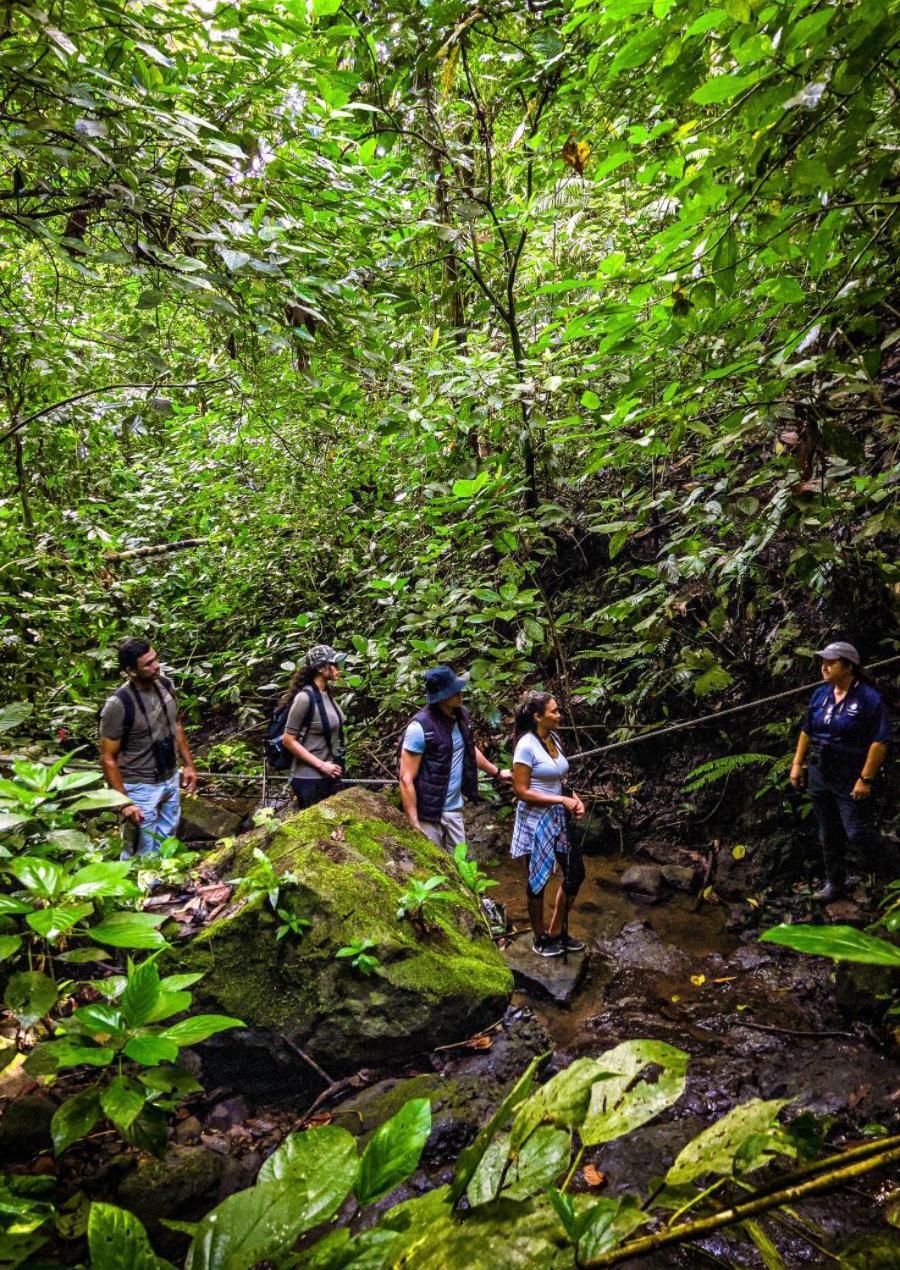Momarco Forest Cove Танай Экстерьер фото