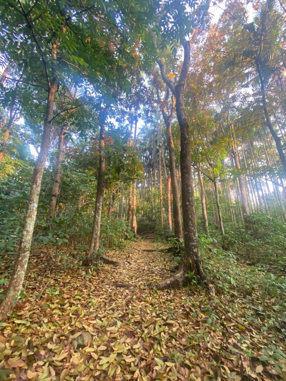 Momarco Forest Cove Танай Экстерьер фото